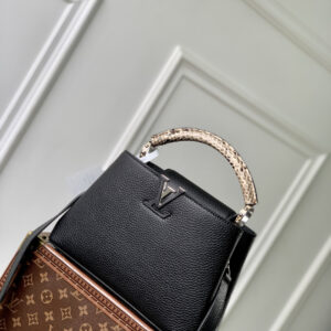 　Lv 카퓌신 파이썬 은장